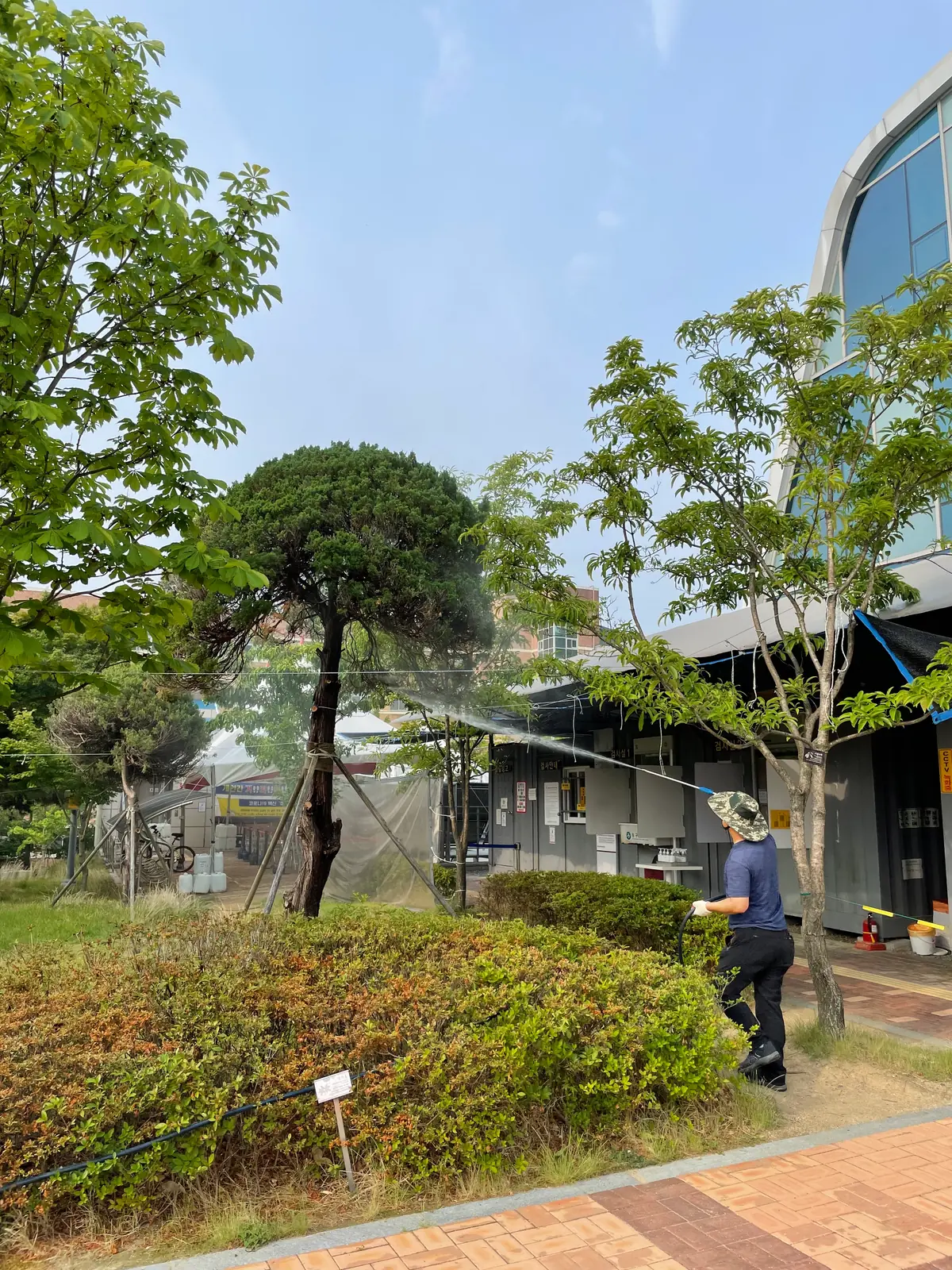관목 주변을 방제하는 작업자